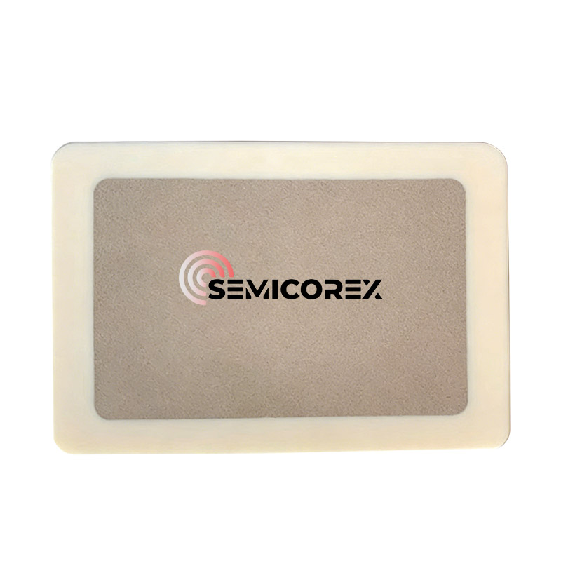 Chuck chân không xốp Alumina