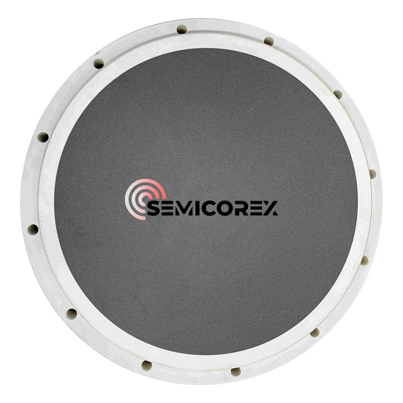 Mâm cặp chân không silicon cacbua SiC